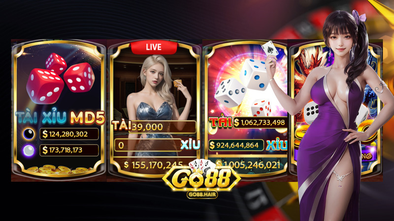 Banner www.hd3647.com